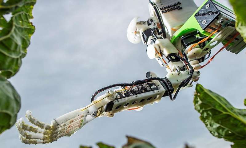 Scientists develop harvesting robots that could revolutionise farming&nbsp;practices