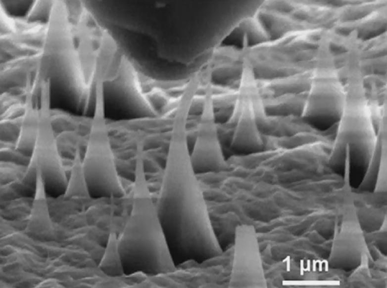 Scientists grow diamonds that can bend and stretch like rubber –&nbsp;BGR