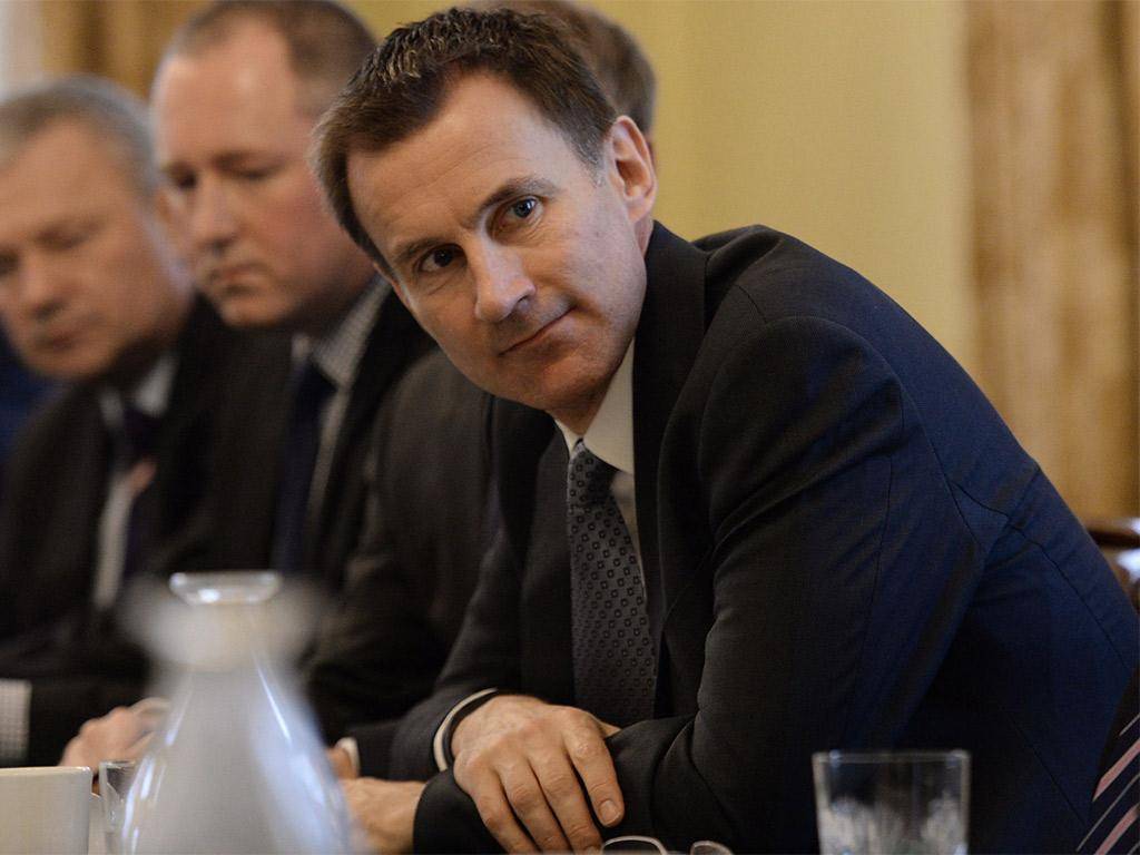 Stephen Hawking and leading doctors to take Jeremy Hunt to court over ‘back-door privatisation’ of NHS | The&nbsp;Independent