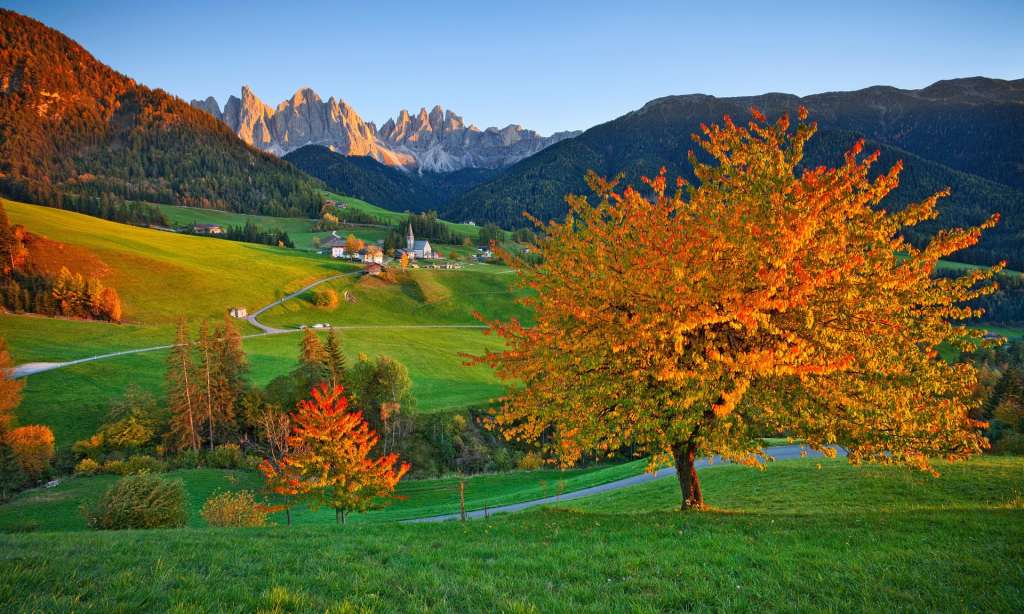 The Eight Mountains by Paolo Cognetti review – friends in high places | Books | The&nbsp;Guardian