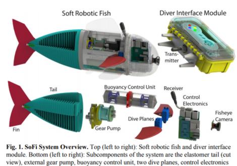 SoFi – A Robot Fish Contributes to Scientific&nbsp;Research