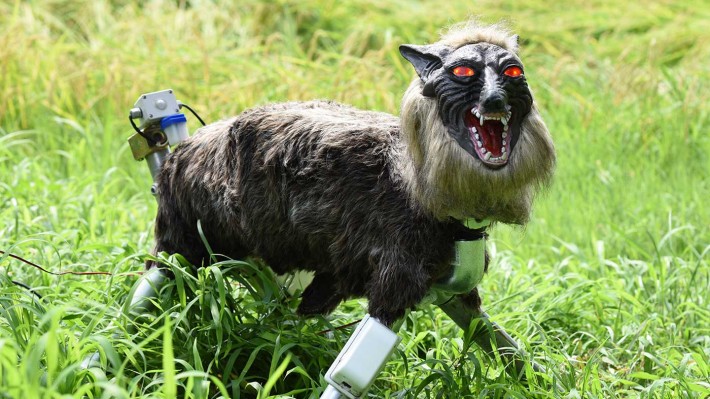 Robotic wolf guards Japanese crops | The Week&nbsp;UK