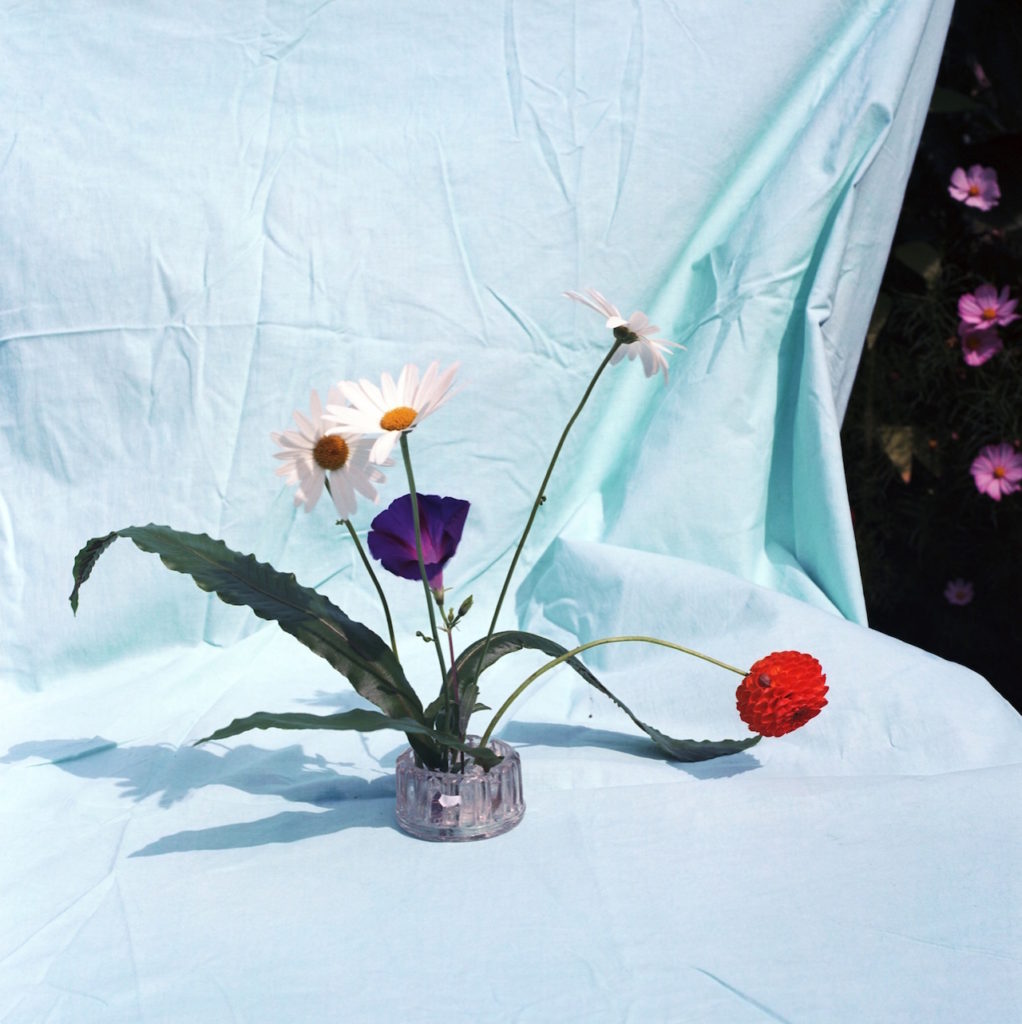 Jason Evans’ Flower Power celebrates colour and community – British Journal of&nbsp;Photography