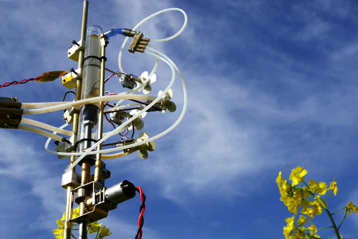 Pollen-dispensing, bee-attracting robo-flower is the coolest art project&nbsp;ever