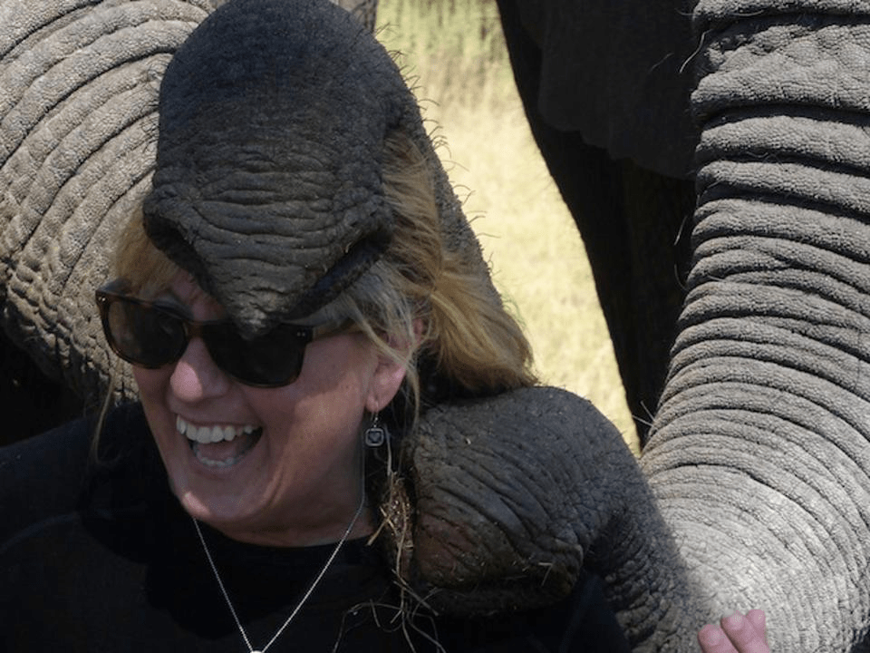 These Elephant Ambassadors Will Capture Your&nbsp;Heart