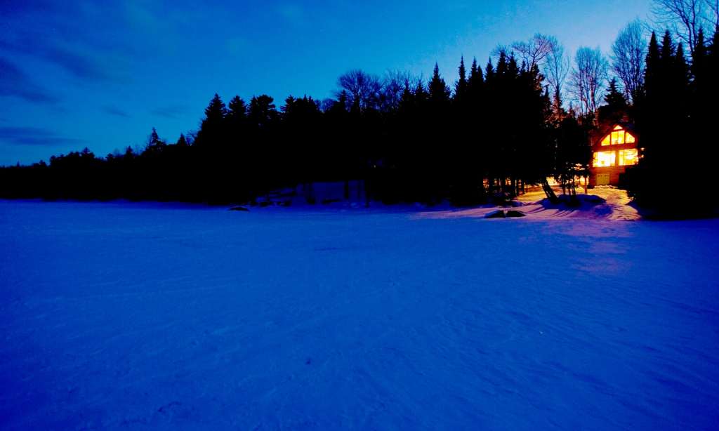 Travelling in a Strange Land by David Park review – daring and deeply felt | Books | The&nbsp;Guardian