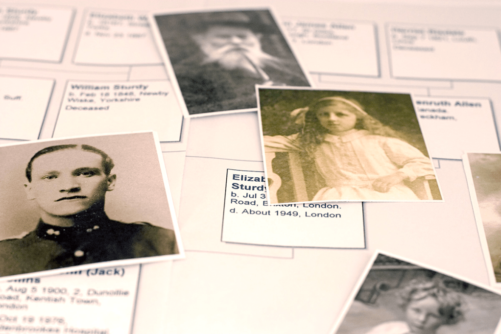 Biggest ever family tree shows when cousins stopped having sex | New&nbsp;Scientist